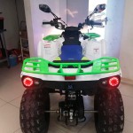   MOWGLI ATV 200 NEW  proven quality - c      