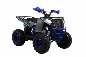  Wels ATV THUNDER EVO 125 s-dostavka  - c      