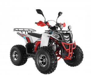  Wels ATV THUNDER EVO 125  s-dostavka  - c      