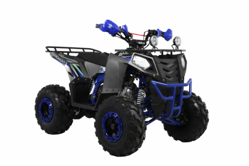  Wels ATV THUNDER EVO 125 X ST s-dostavka - c      