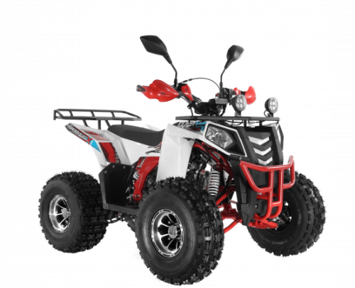  Wels ATV THUNDER EVO 125  s-dostavka  - c      