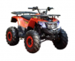   WELS Thunder AX125 - c      